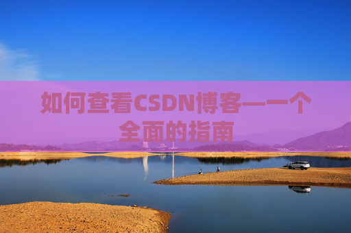 如何查看CSDN博客—一个全面的指南
